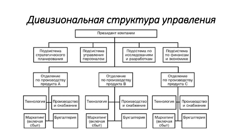 Дивизиональная структура управления проектом
