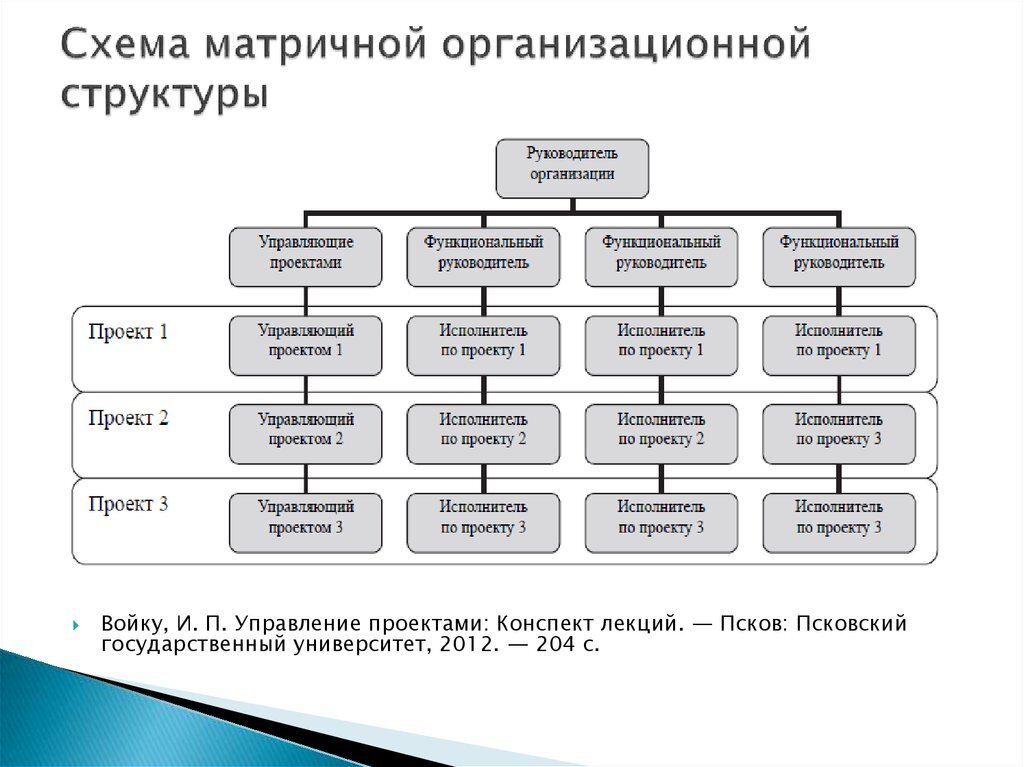 Матричная организация пример