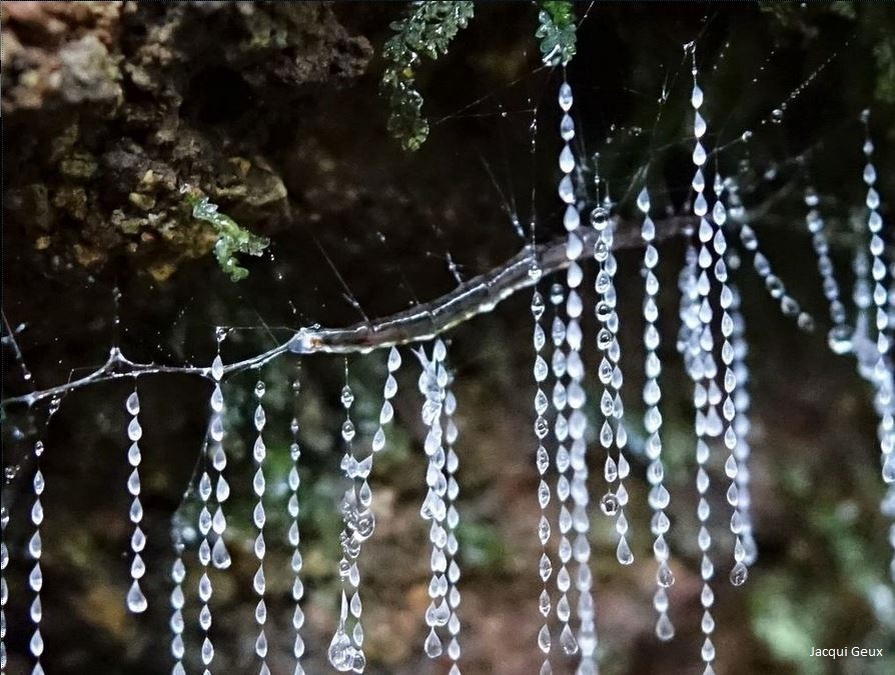 Light of hope. Harvest moon: light of hope. Игра harvest moon light of hope. Light of hope. Dunk harvest moon.