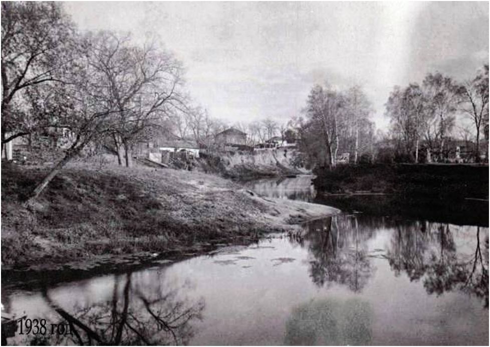 1938 год. Медведица в районе Сада Профинтерн. Архив Татьяны Богомоловой.