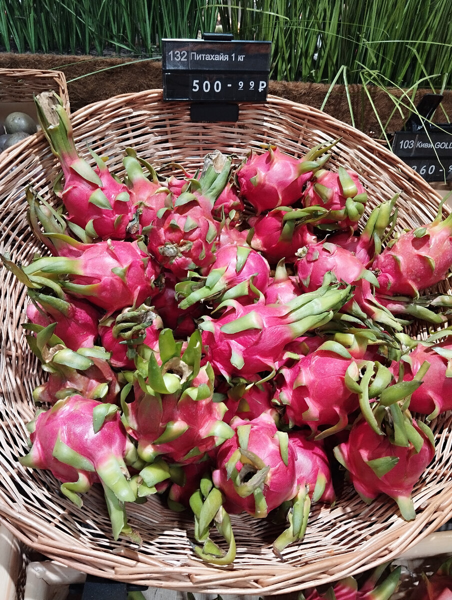 Страшшшные, со щупальцами!...