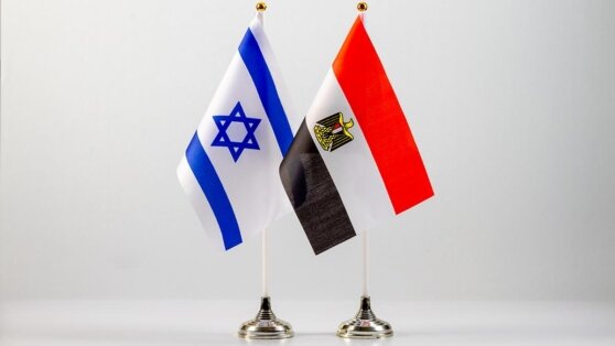    AP: Египет может приостановить Кэмп-Дэвидские соглашения с Израилем из-за операции в Рафахе Андрей Бурков