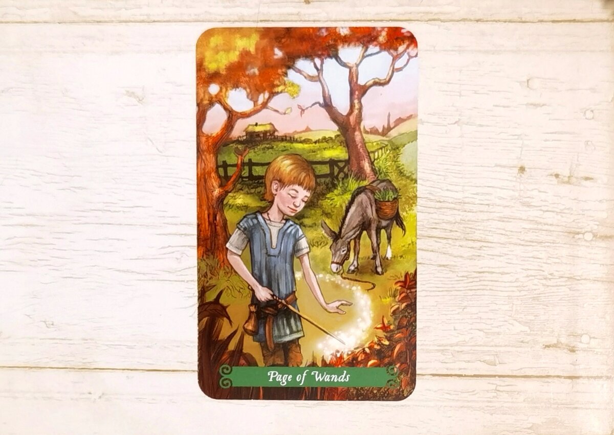 Аркан "Паж Жезлов". "Таро Зеленой Ведьмы".