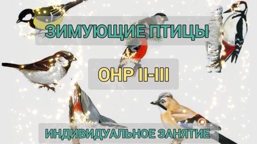 Зимующие птицы