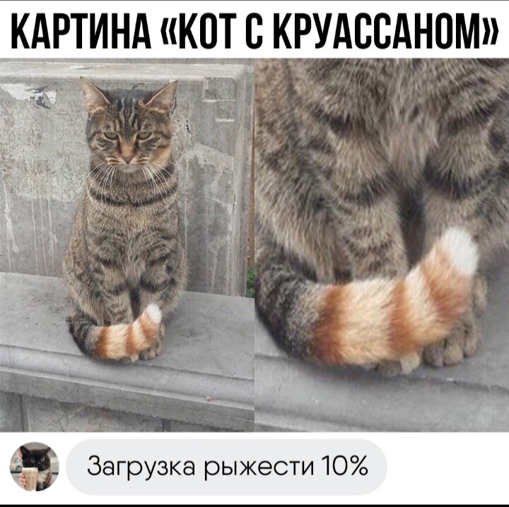 обезьяны вместе. лягушки путешественники. смешные животные. забавно 4. четыре обезьяны приколы.