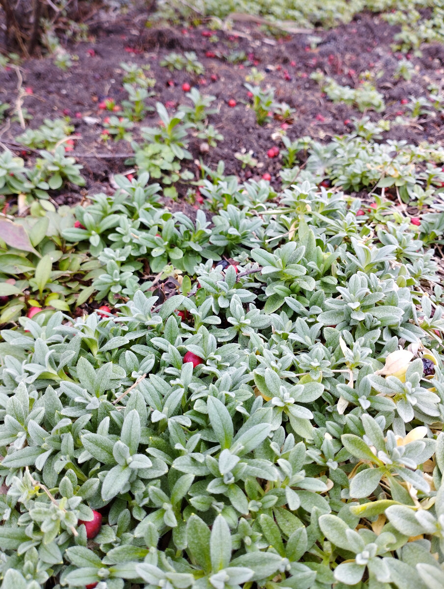 Сегодня. Фото автора канала