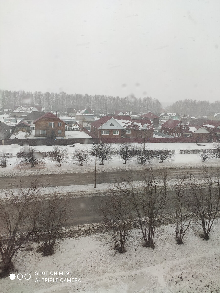Погода за окном