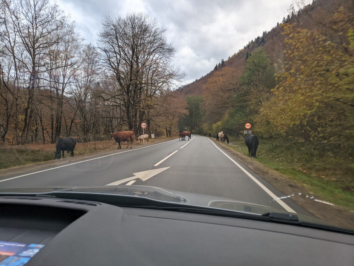 Дорога в горы. Увеличьте) 