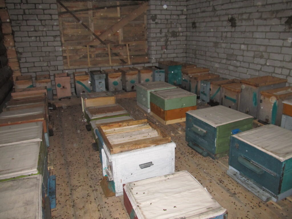 Зимовка пчёл без утеплительной подушки