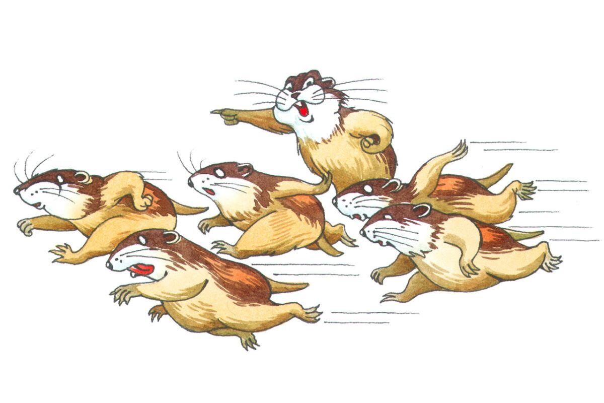 Миграция леммингов