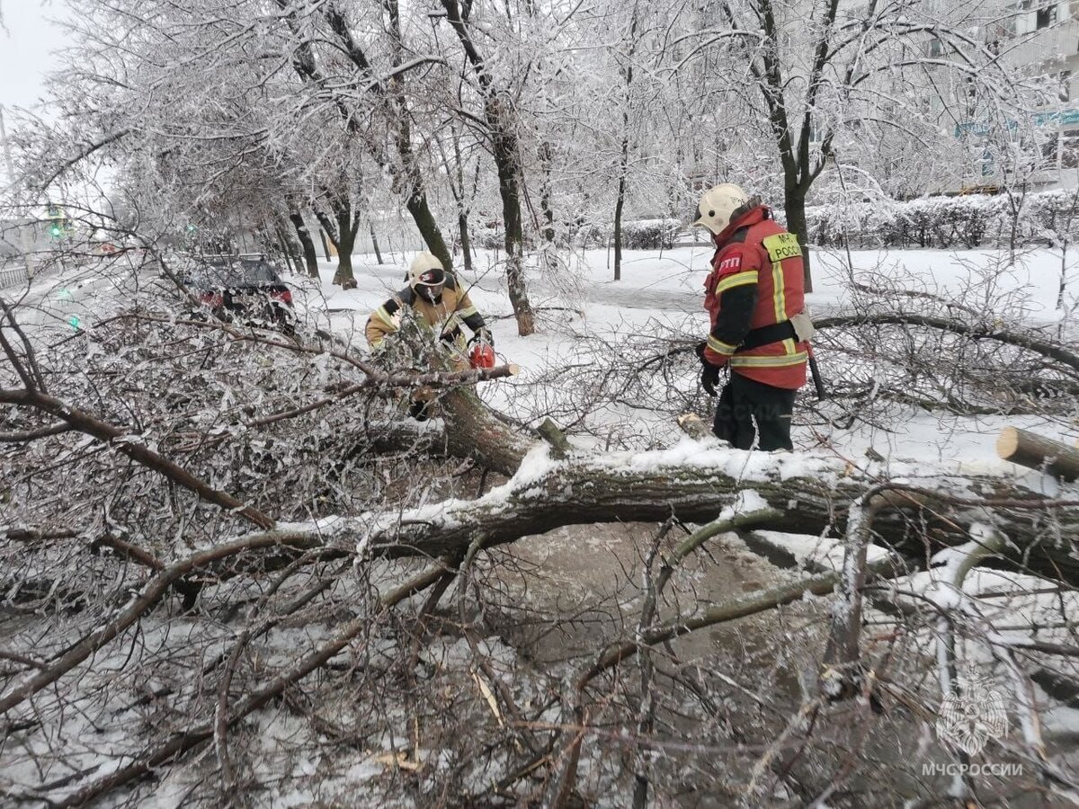 Фото: пресс-служба ГУ МЧС России по Ростовской области