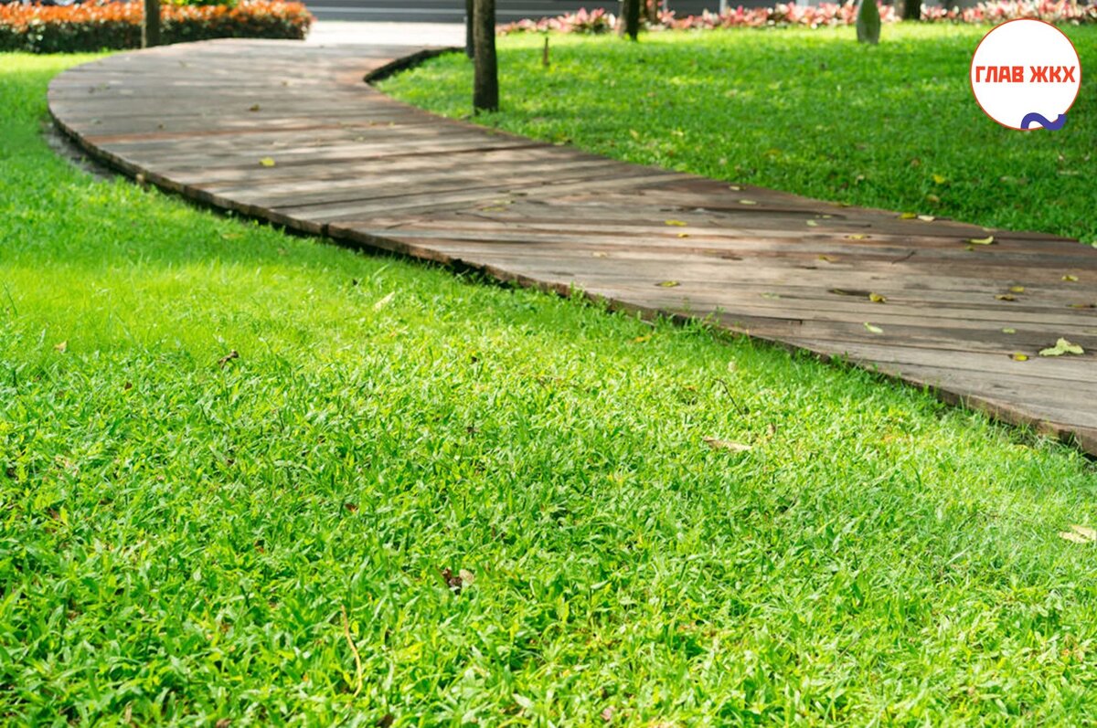 В Перми утвердят новые нормативы по высоте газонов 