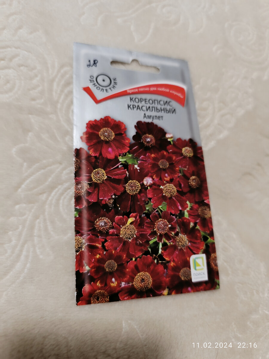 Выбрала, т. к. можно сеять сразу в грунт