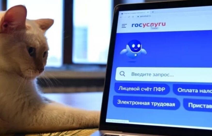    Чернышенко: «Абсолютно все справки и льготы станут доступны на Госуслугах до конца года»