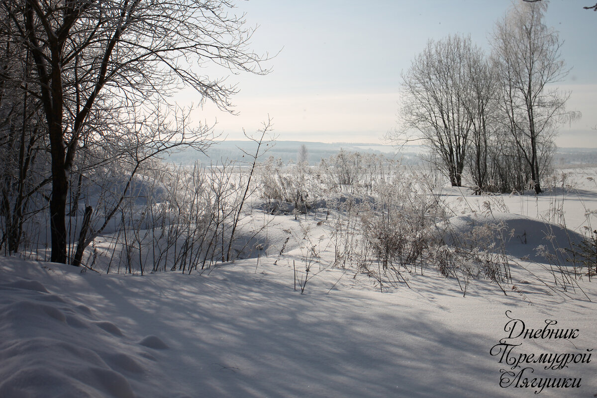 фото автора 10.02.2024