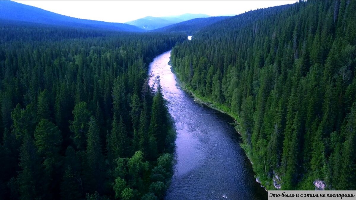 Многие называют центральной Россией ЦФО, но в плане географии это центр Сибири – там, где тайга встречается с тундрой, а запад от востока отделяет Енисей. Источник – https://clck.ru/38YKaa 