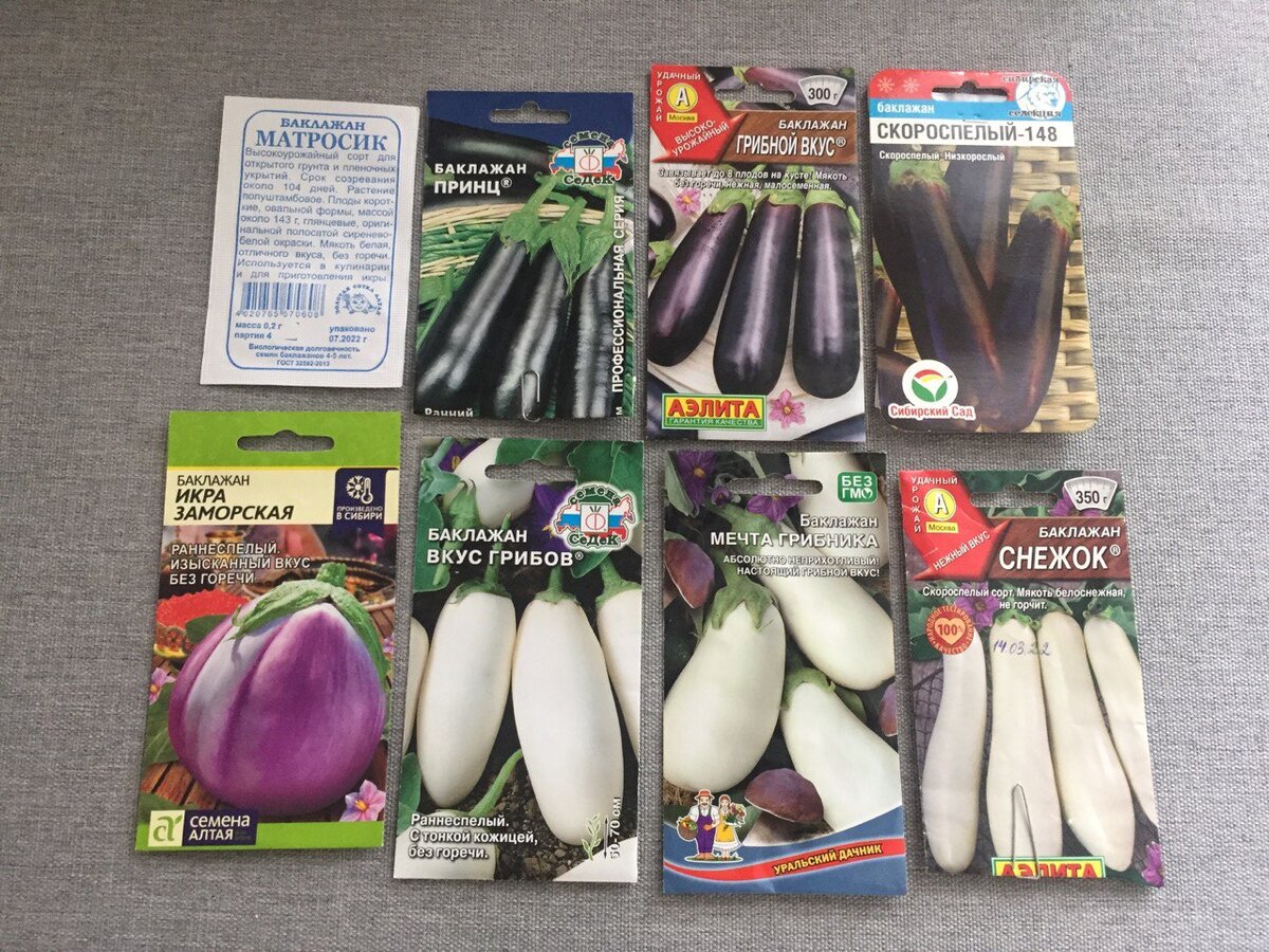 Мои баклажаны