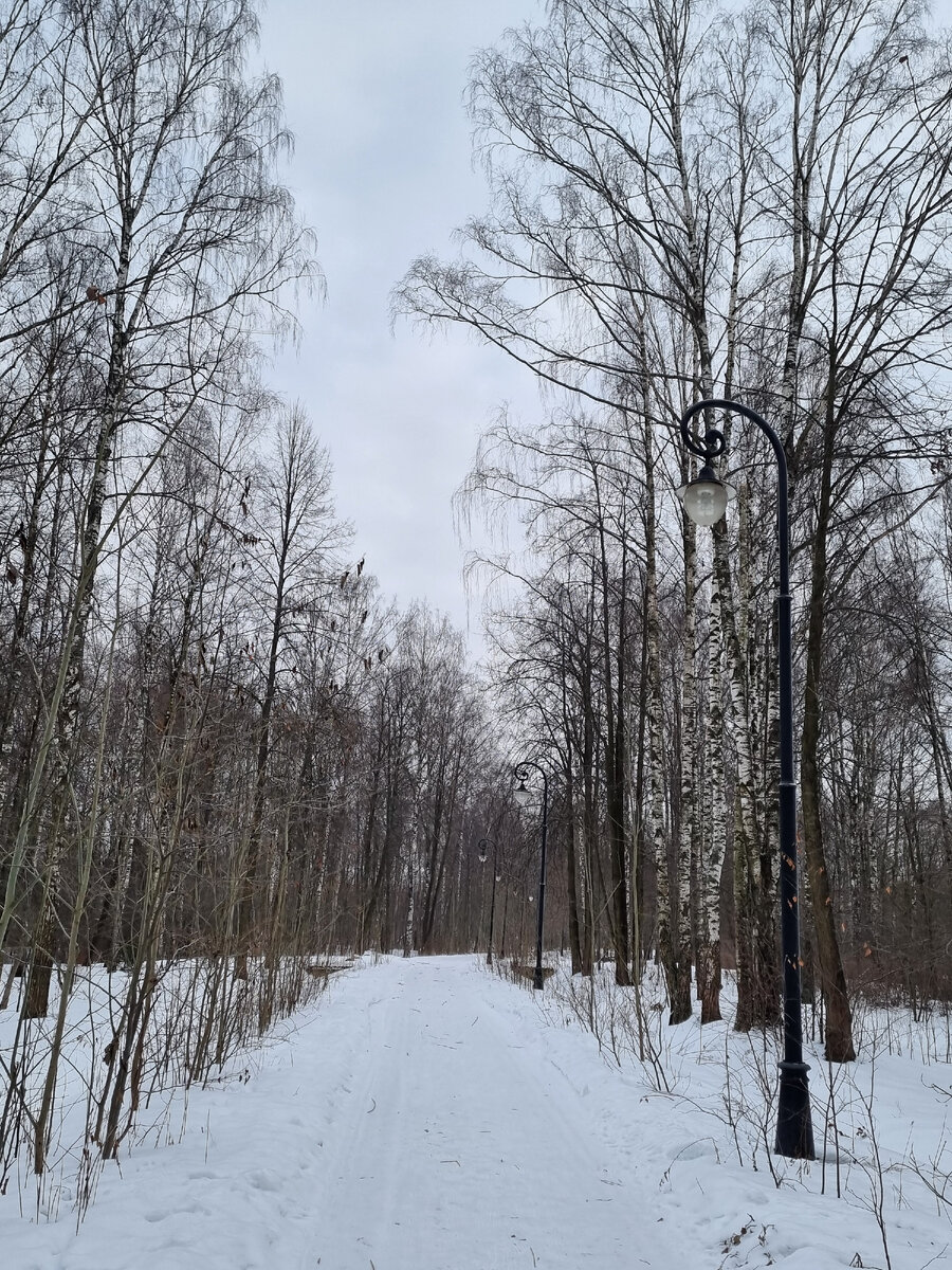 добраться лесного. колтушская экологическая тропа. никольский лес. шварцвальд тропа. экотропа лопухинка радоновые.
