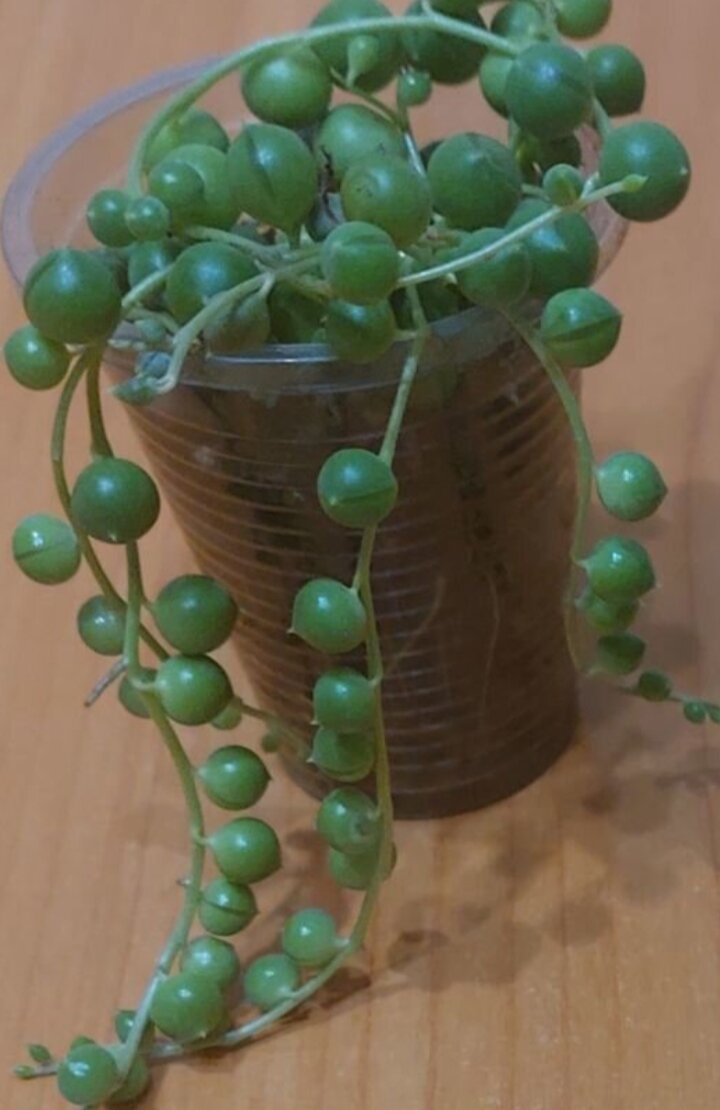 Так он выглядел, когда только купила