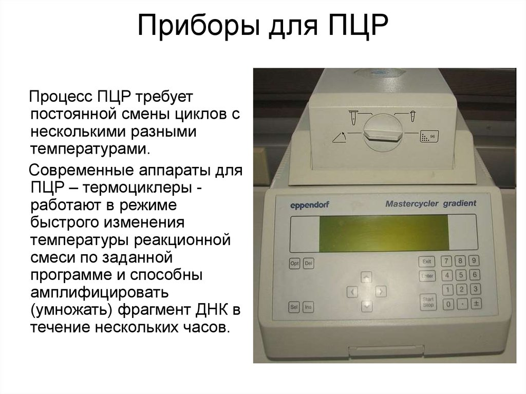 Тесты на определение языков