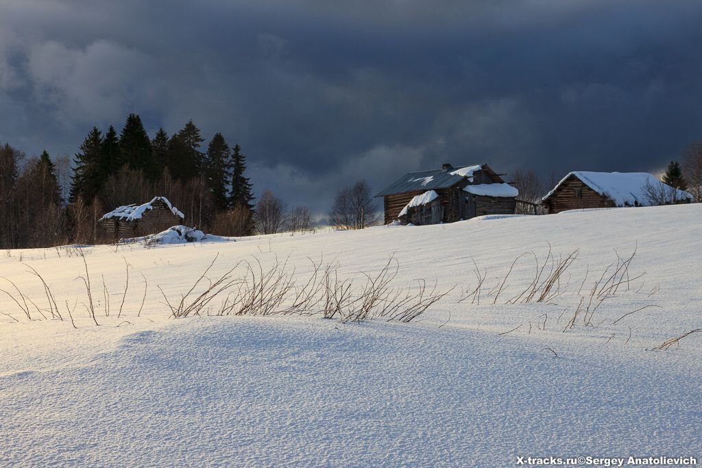 Нежилые дома в д. Думино.