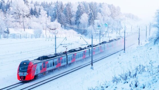    В Ростовской области из-за непогоды задерживается 21 поезд Богдан Герцен