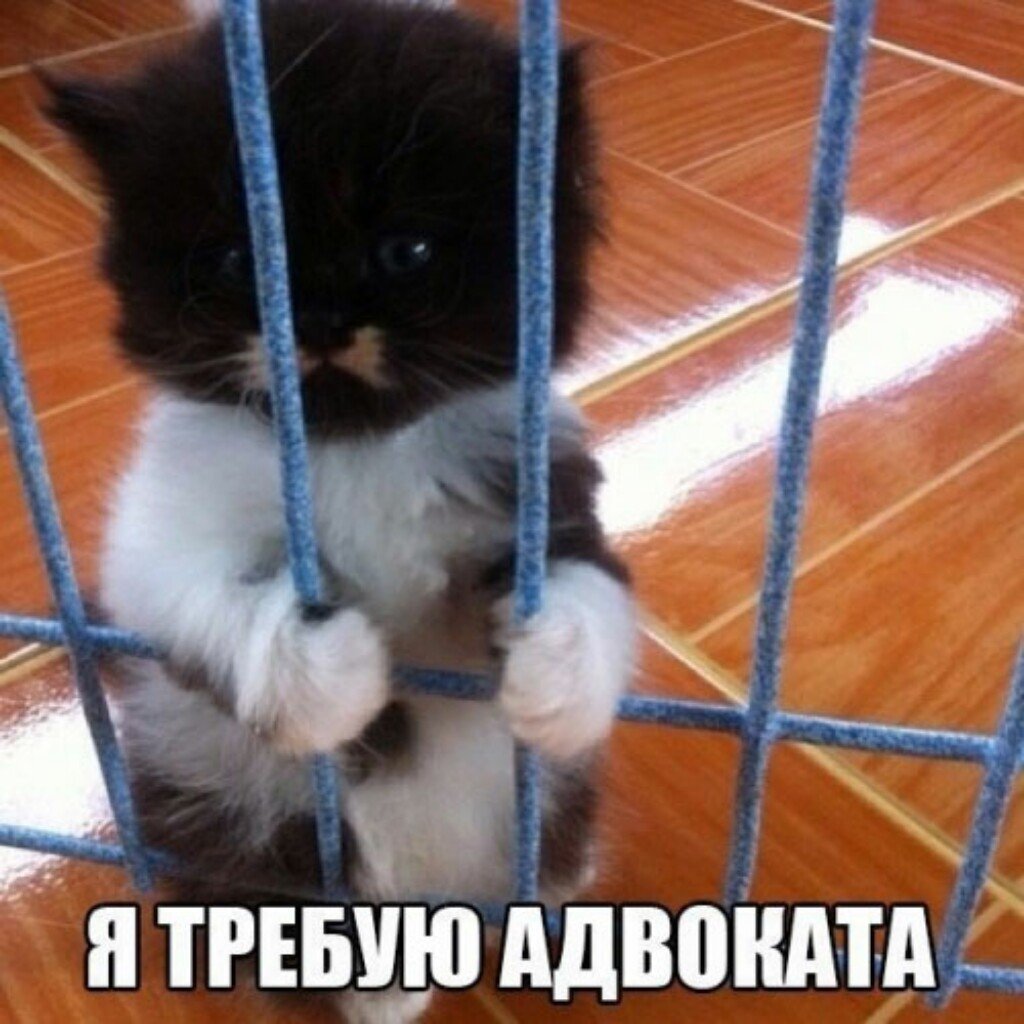 источник Яндекс-картинки