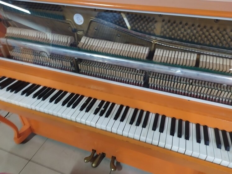     фото: мк в вологде