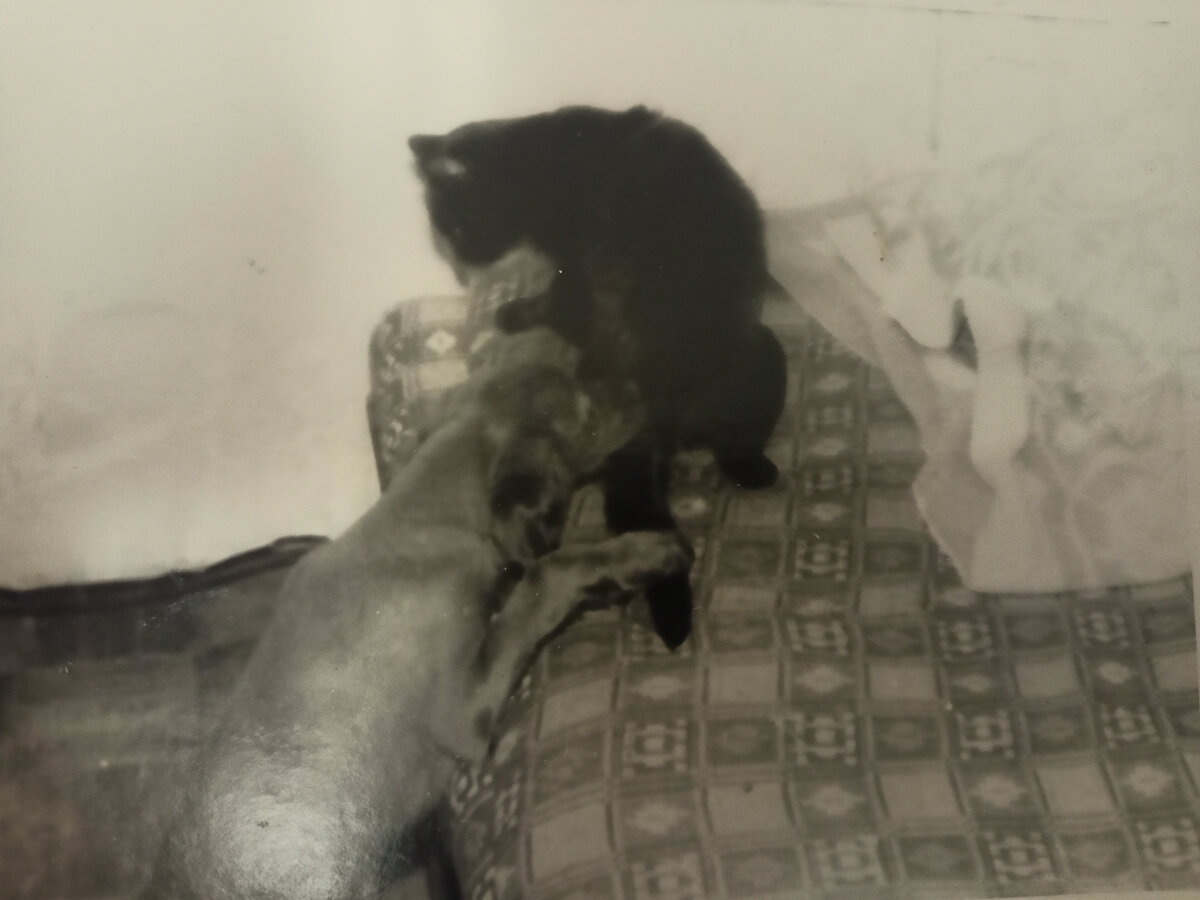 Дуся и Катя, 1993