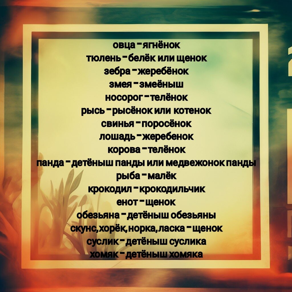 Как называется детёныш панды? А енота? Несколько вопросов, которые ставят в  тупик шестилеток и их родителей | Заметки мамы-училки | Дзен