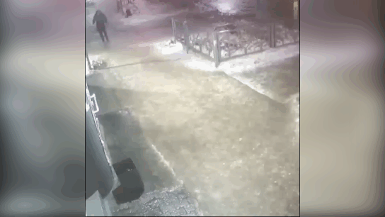 ВИДЕО: VK.COM/BERDSK_ONLINE