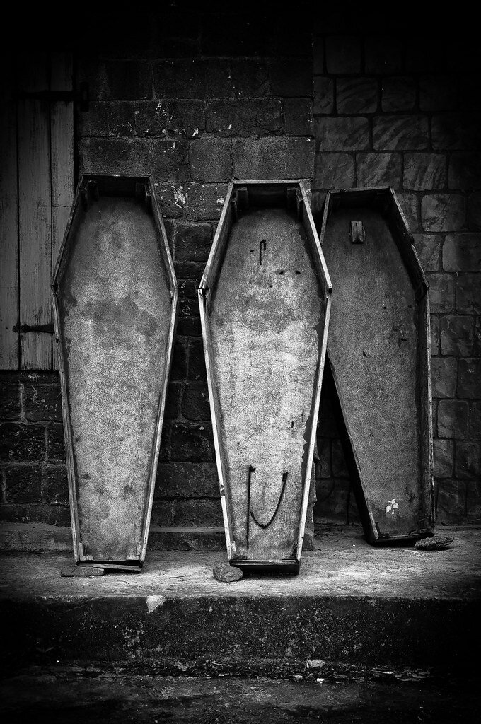 Изображение взято из открытых источников интернета. 