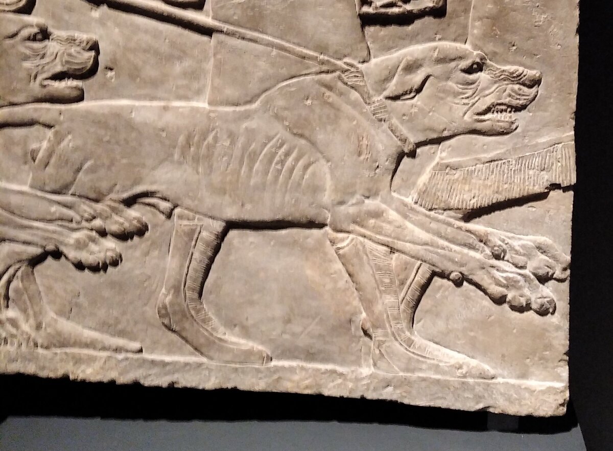 Симба 2 гордость симбы. Король лев 2 симба. Король лев 2 гордость симбы 1998. Король лев 2 гордость симбы муфаса. Лев 2 3.