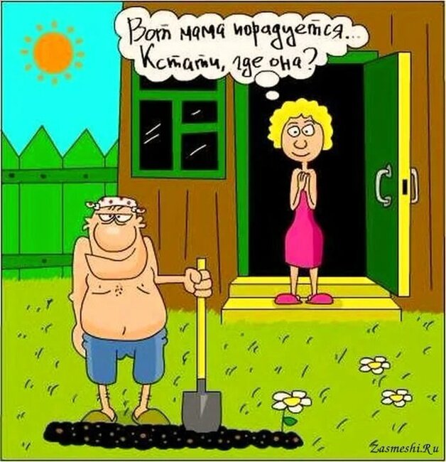 фото из Яндекс картинки