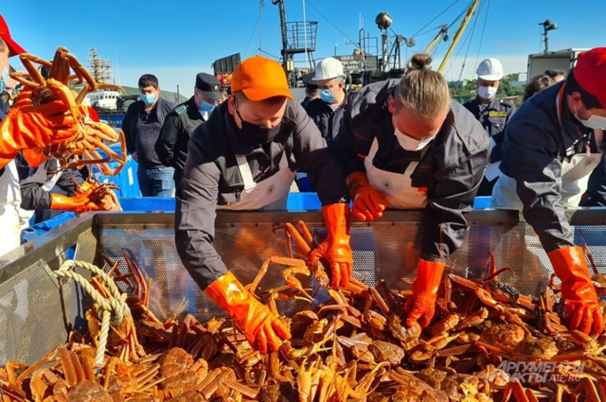    Жители Тюмени могут получить работу краболова в Южной Корее