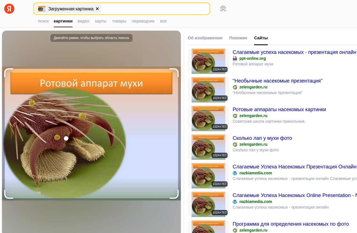 Неверный слайд замечен во многих презентациях