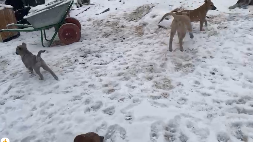 -2