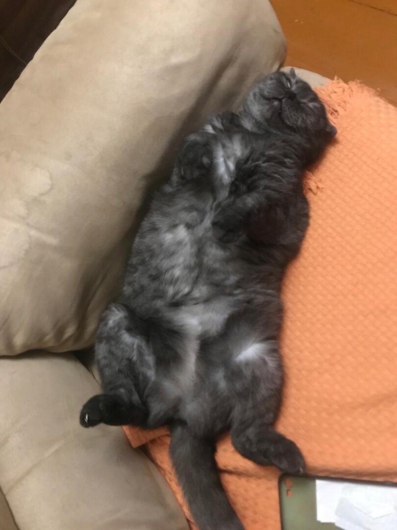 Идеальное существо