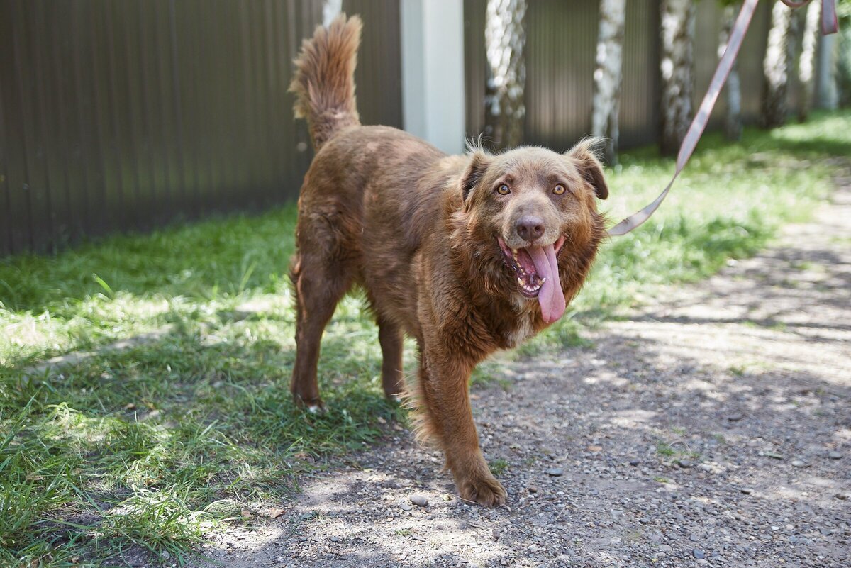 Кот в сапогах с большими глазами. Попробуй записать число 6+1 с помощью точек и с помощью цифры. Девушка пишет в блокноте. Aezakmi. Поставь знай.
