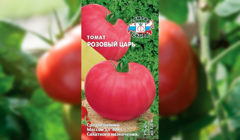 Томаты Розовый царь. Куст высотой 160-170 см.
