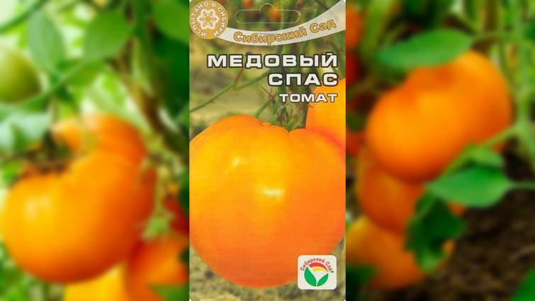 Медовый спас. Плоды крупные, могут вырастать до 600 г. 