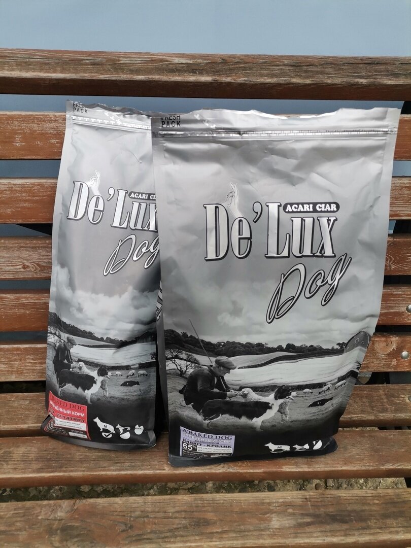 выходные в 2024 году в россии. выходные дни в 2023 году. календарь праздничных и выходных дней на 2023 год. 2 февраля 2024 календарь. праздники в феврале 2024.