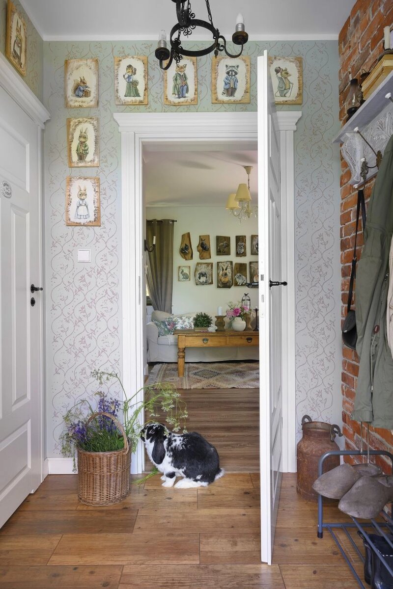 Котёнок рыжий будапештский. Кот в собачьей лежанке. Коты без хозяев. Бездомные котята. Кошачьи дела.