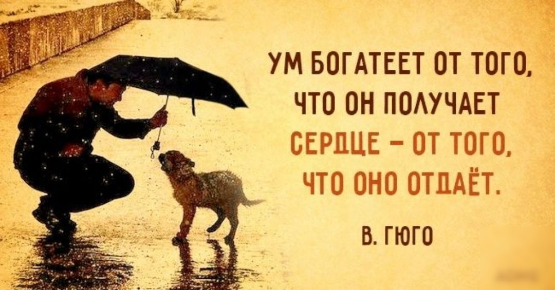 Надо быть выше. Фразы про добрые дела. Хорошие цитаты. Делать добро цитаты. Фразы о доброте.