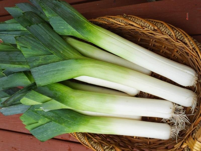 https://ketokotleta.ru/about_healthy_food/kak-pravilno-vybrat-luk-porej.html