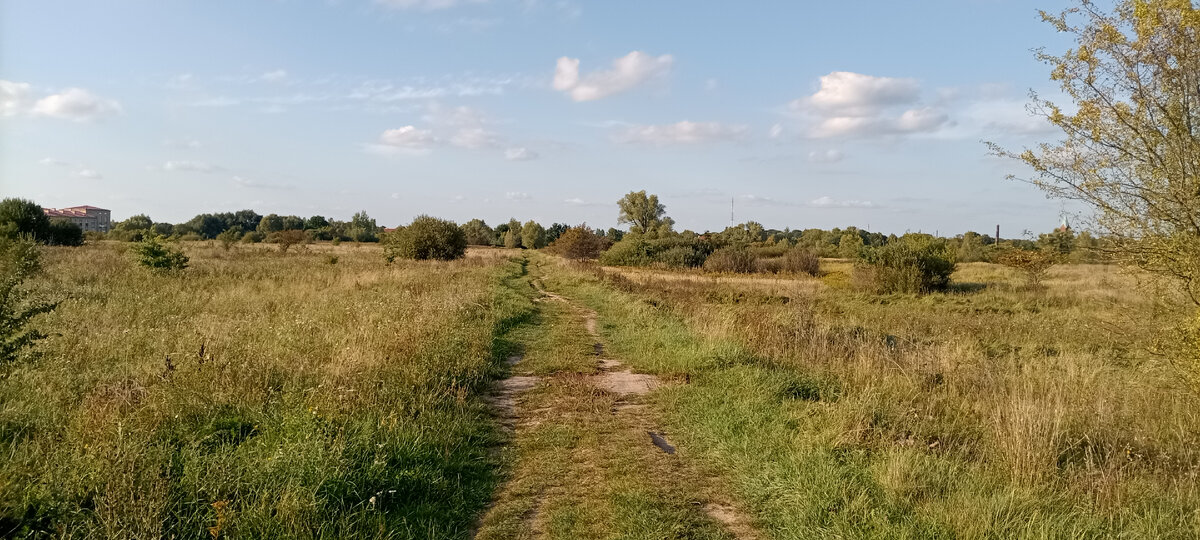 Фото для привлечения внимания. Дорога в сад. 