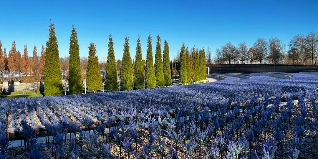 Один день в зимнем Краснодаре: маршрут для прогулки по центру города