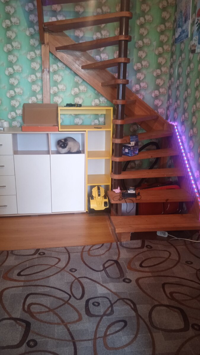 Делали перестановку в коридоре. Кошка уже нашла себе местечко