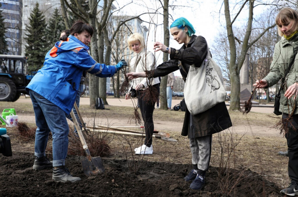 Фото: vk.com / Комитет по благоустройству Санкт-Петербурга