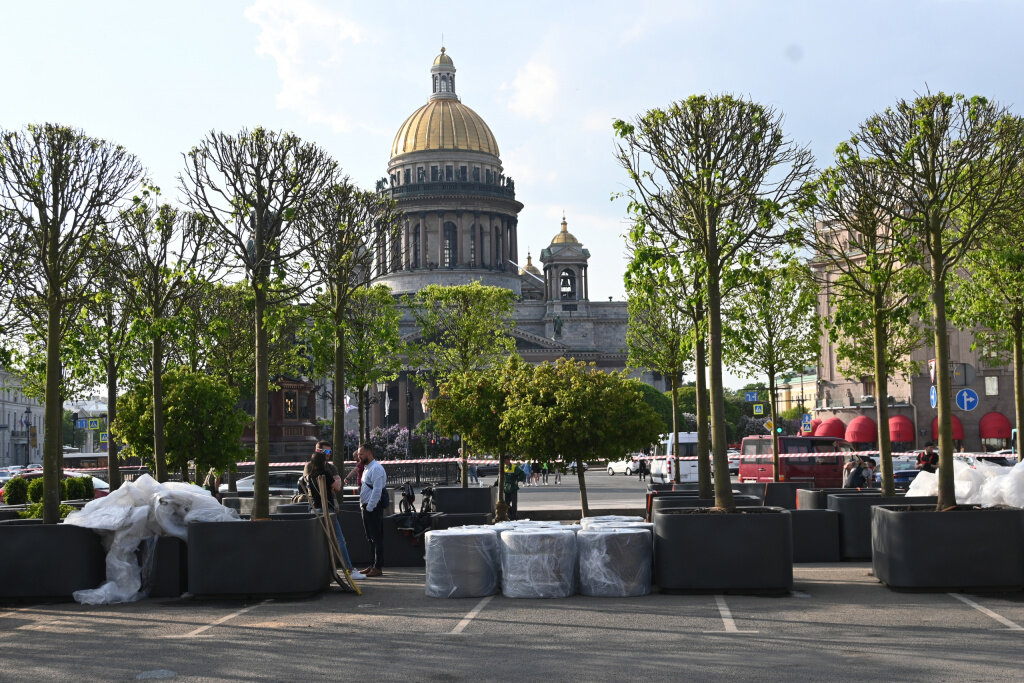 Фото: vk.com / Комитет по благоустройству Санкт-Петербурга